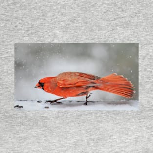 tippy-toe through the snow T-Shirt